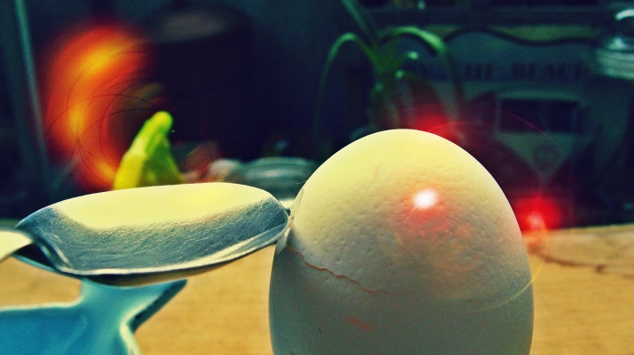 Huevo 1