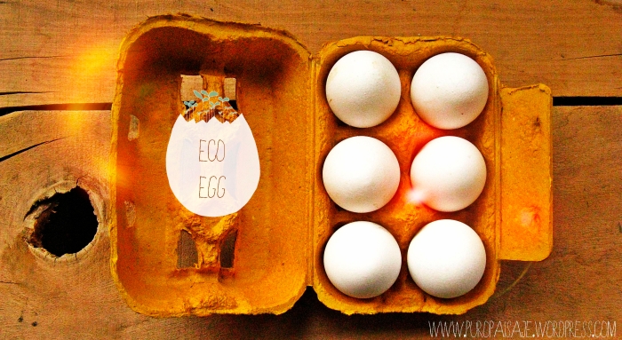 Media docena Eggs1